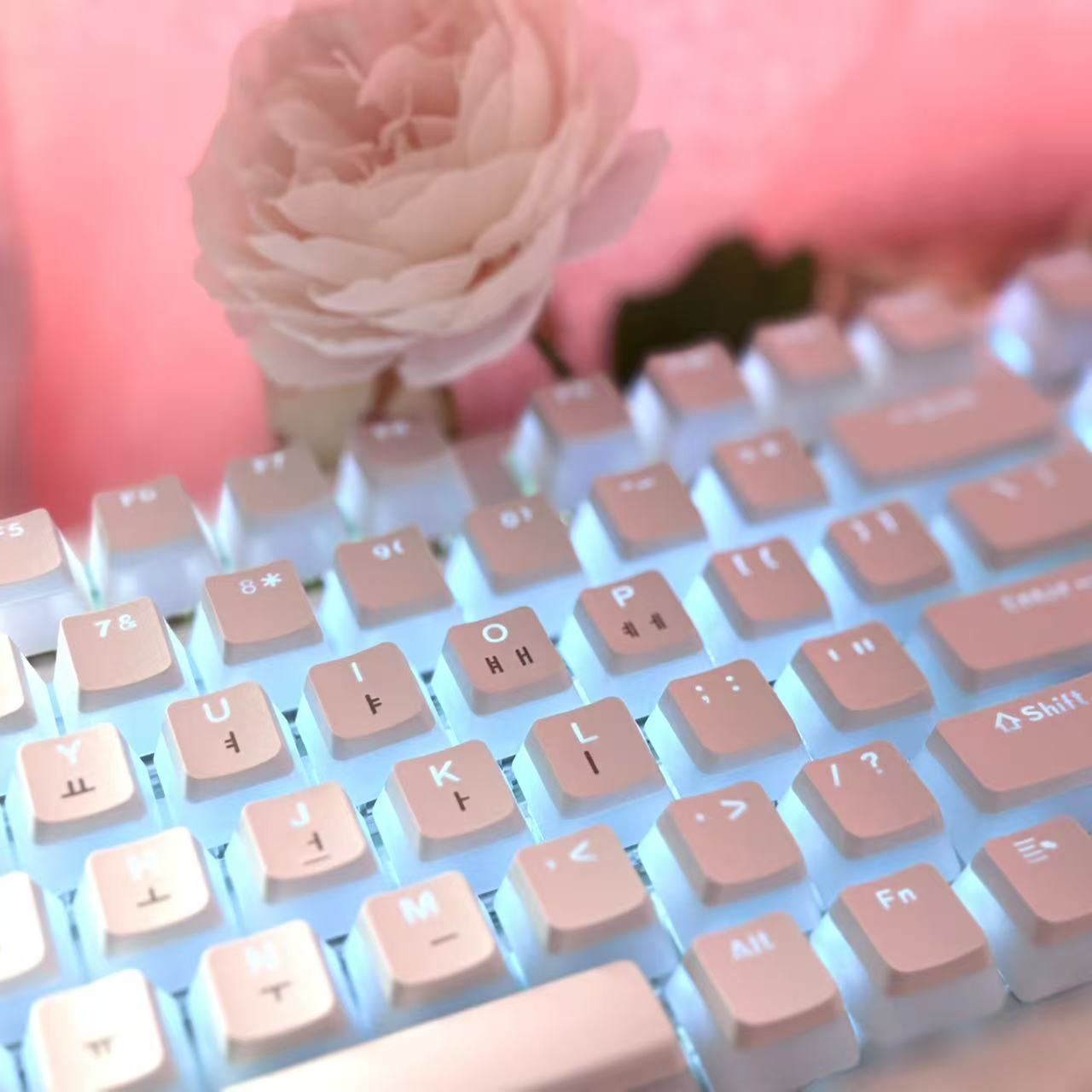 Hangul Keycap Koreaanse Lay-Ou - Gaming Set Accessories recensie en prijs